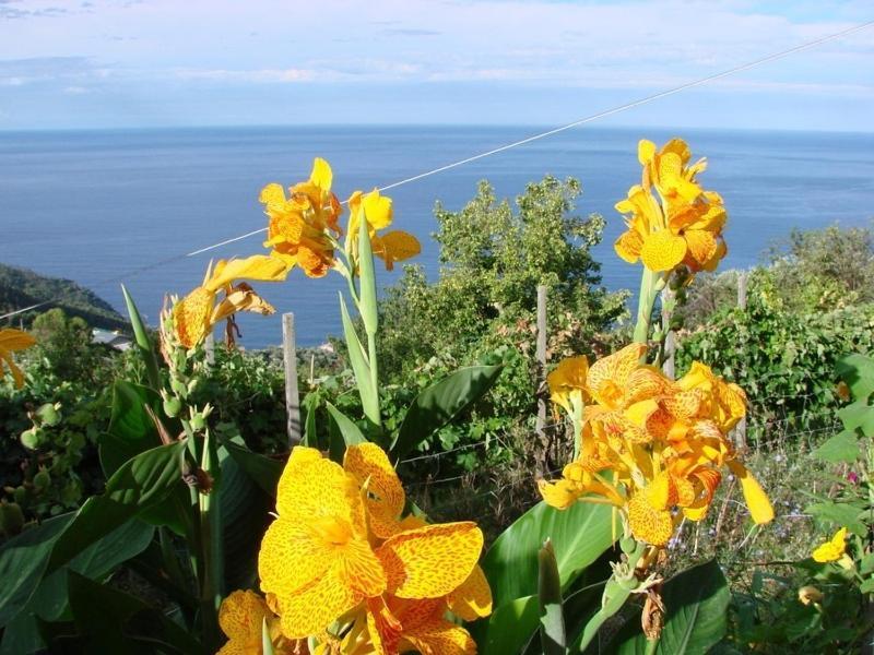 Case Vacanza Reggimonti Cinque Terre Bonassola Dış mekan fotoğraf