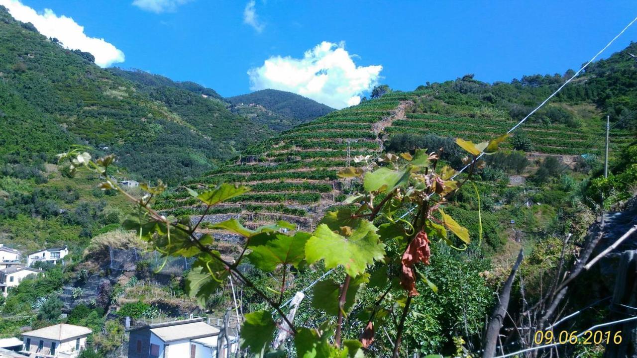 Case Vacanza Reggimonti Cinque Terre Bonassola Dış mekan fotoğraf