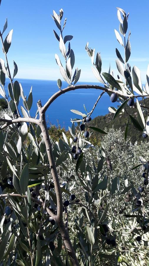 Case Vacanza Reggimonti Cinque Terre Bonassola Dış mekan fotoğraf